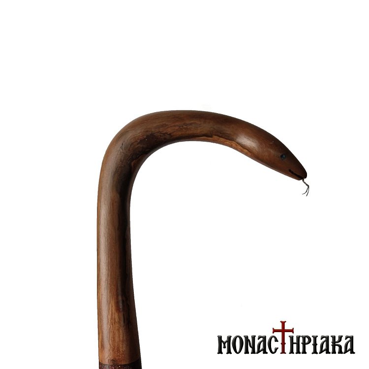 Walking Stick with Snake Shaped Grip