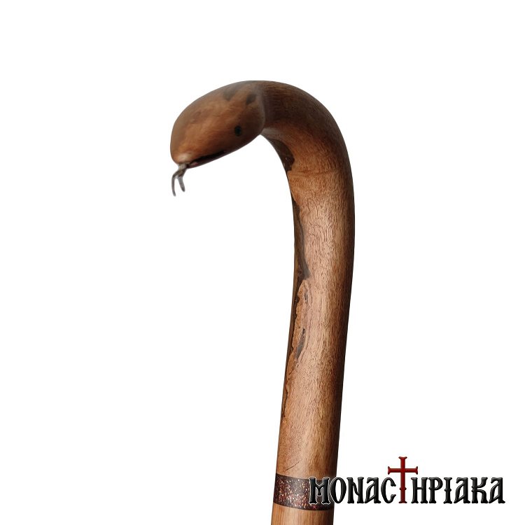 Walking Stick with Snake Shaped Grip