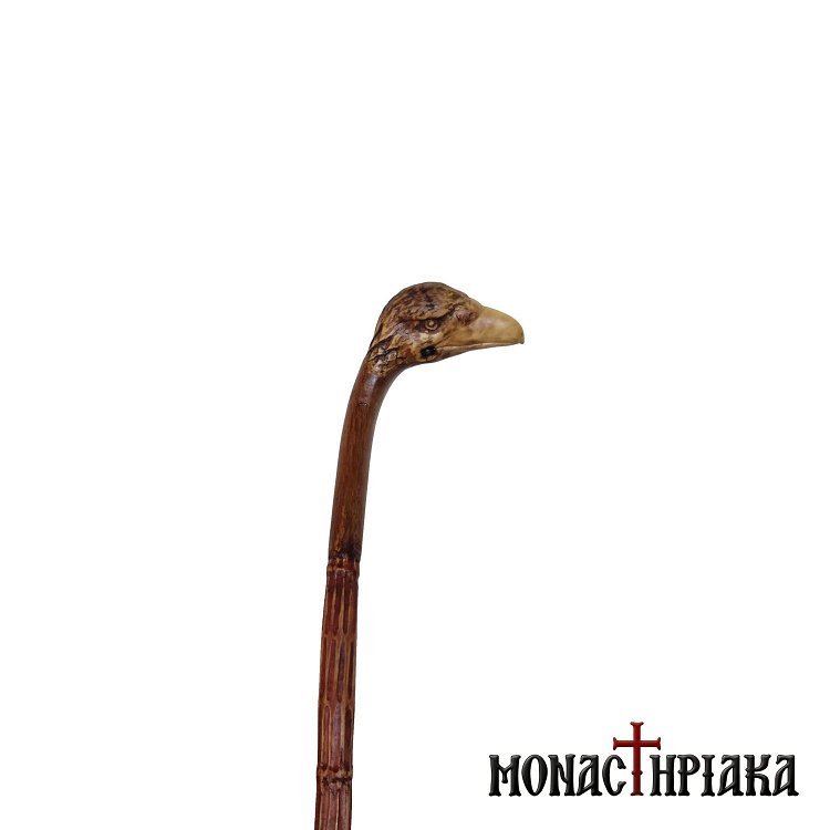 Walking Stick with Grip