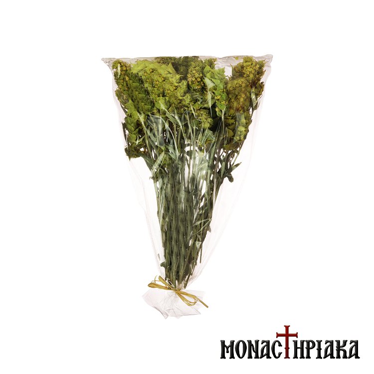 Mountain Tea (Sideritis)