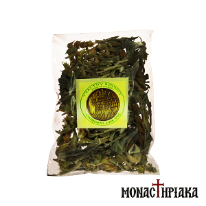 Mountain Tea (Gender Sideritis L) - Simonos Petra Holy Monastery