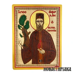 Saint Ephraim of Nea Makri